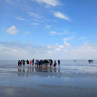 Wattwanderung in Cuxhaven