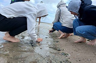 Wattwanderung in Cuxhaven
