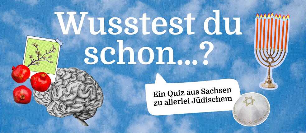 Wusstest du schon ...?