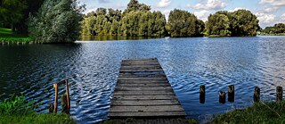 See mit Wald und Steg