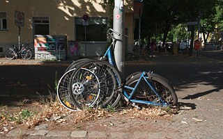 Rast, Rost, Rad
