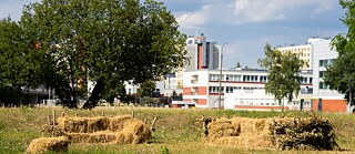 Nachbarschaft der Natur in Białystok. „Cyklarium Słoboda” auf dem Campus der Technischen Universität Białystok, Umsetzung: Galerie Arsenał in Białystok