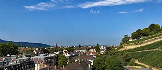 Blick von einer Dachterrasse auf Freiburg i. Br.