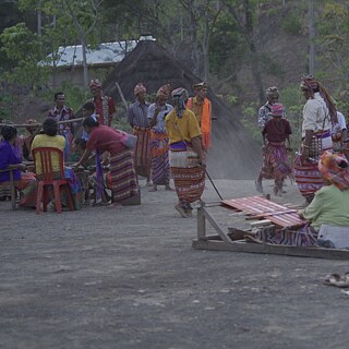 The Screet of Mollo Land