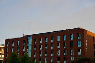 Bunte Luftballons steigen über einer Jugendherberge in die Luft.