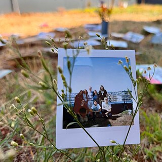 Ein Polaroidfoto in den Zweigen einer Kamille auf einer Wiese.
