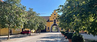 Eingang zum Schlossinternat in Stein an der Traun