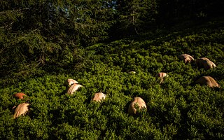 To Survive in War, They Pay With Their Bodies