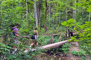 Jugendliche auf einer Holzbrücke in der Wutachschlucht