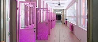 A school with pink fenced doors