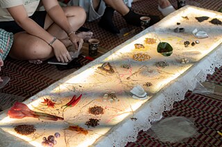 Makan Apa Hari Ini - Cooking Experiment by Seah Zelin, Gatari Surya Kusuma, Made Masak & Prinka Saraswati (2026.01.25)