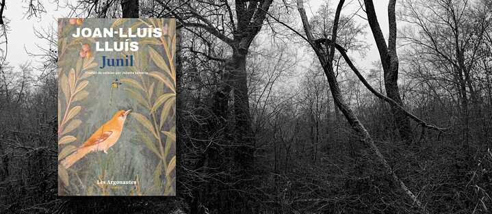 Couverture du roman "Junil" de Joan-Lluís Llu´ís devant une forêt sombre en arrière-plan