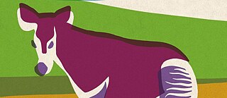 O dia em que Selma sonhou com um ocapi. Clube de Leitura GISP