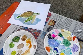 Aquarellbild einer Schildkröte