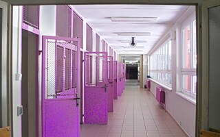 „Vůbec bychom se nepoznali, kdybychom spolu nechodili do školy“