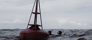Szene aus dem Film Jenseits der blauen Grenze: Zwei Schwimmer in Neoprenanzügen und Taucherbrillen halten sich an einer Seemarkierungsboje in der Ostsee fest.