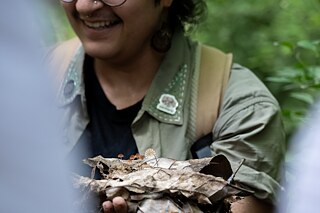 Fungal foraging walk with Malvika Bhatia at Jahapanah Forest