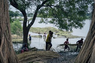 Faridpur field visit: retting process of jute 