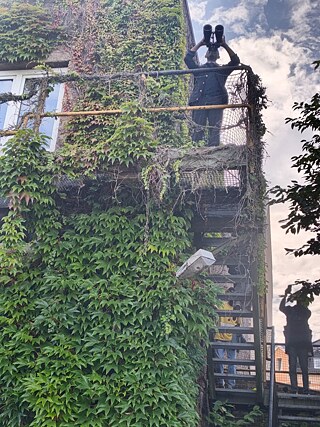 Eine mit Efeu bewachsene Gebäudefassade mit Außentreppe und Plattformen, auf denen mehrere Personen mit Ferngläsern den Himmel und die Umgebung beobachten.