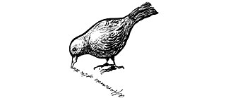 Illustration till Fängslade författares dag