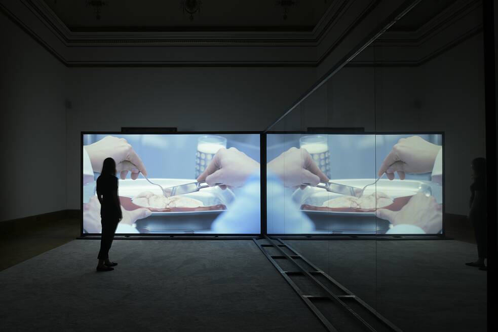DATAS artwork Dorota Gaweda, Egle Kulbokaite