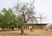 Escuela primaria en Gando, Burkina Faso de Diébédo Francis Kéré; 