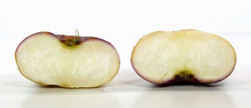 Einen Apfel teilen.