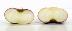 Einen Apfel teilen.