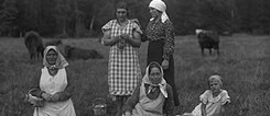 CV Letonyalı tarım işçisi kadınlar tarlada çalışırken, 1920