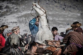 Casper Hedberg, „Buzkashi“, Lumix-Festival 2014