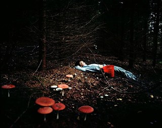 Iveta Vaivode, „Somewhere on a disappearing path“, Lumix-Festival 2014