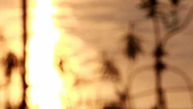 Noise Life