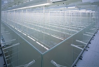 Maximilianeum München, Plenarsaal, Lichtdecke, Licht Kunst Licht AG