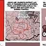 Remembering in pictures and words: comics about the fall of the Wall.