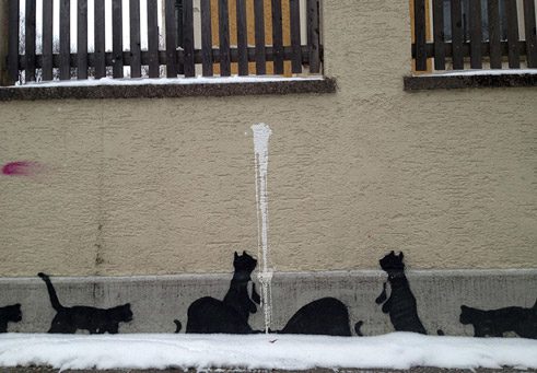 Katzen, Schyrenstraße