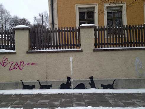 Katzen, Schyrenstraße