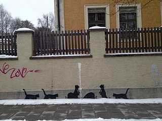 Katzen, Schyrenstraße