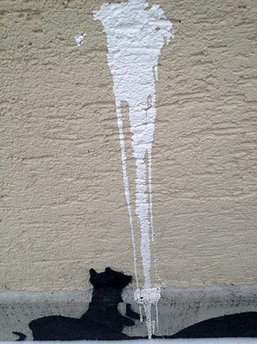 Katzen, Schyrenstraße