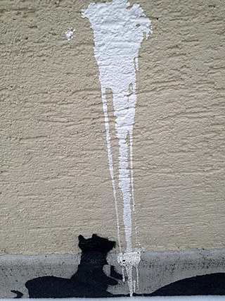 Katzen, Schyrenstraße