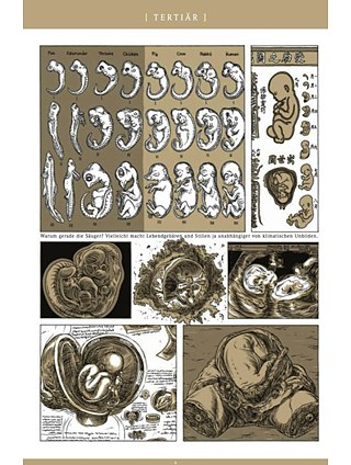 Auszug aus „Beta… Civilisations, Part 1“ von Jens Harder © Carlsen Verlag 2014