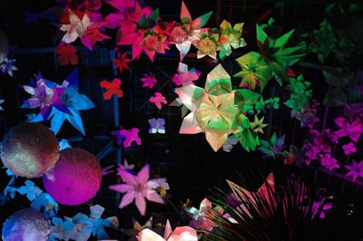 Schöner Schein, im Palmengarten Frankfurt am Main auf der Luminale, Detail, Luminauten