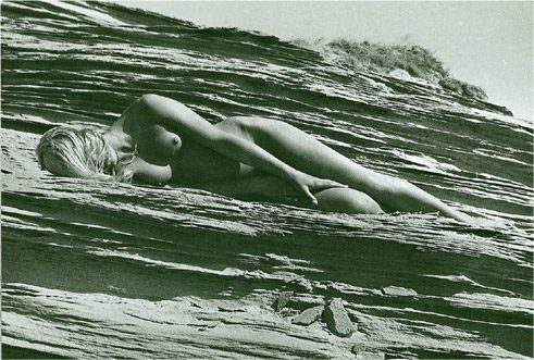 Aus dem Fotografieband „Blumen unter Blumen“ (1965–1989)