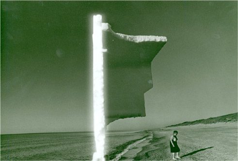 Virgilijus Šonta, 1981