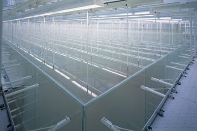  Maximilianeum München, Plenarsaal, Lichtdecke, Licht Kunst Licht AG 