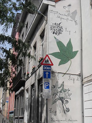 Rue L'Olivier / L'Olivierstraat, Schaerbeek / Schaarbeek