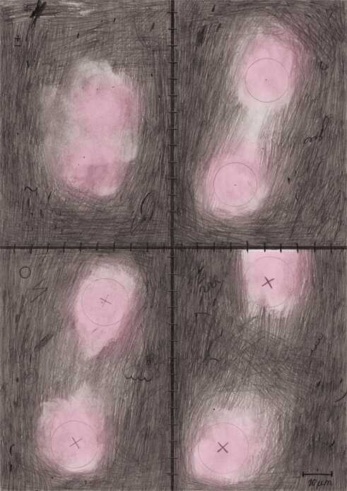 Comic „Šūnu līmenī“ 