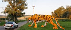 Der Tiger am Eingang von Szakácsi