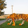 Der Tiger am Eingang von Szakácsi