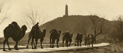 German photographers in China : Lost Images - Goethe ...