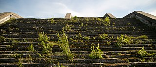 Linnahalli trepid  &copy; Foto: Triin Pitsi © Goethe-Institut Tallinn Linnahalli trepid